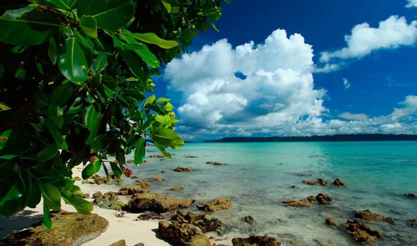 Andaman Island Tour — photo 3 Andaman Island Tour — photo 3
