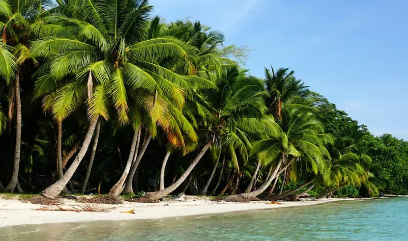 Andaman Island Tour — photo 4 Andaman Island Tour — photo 4