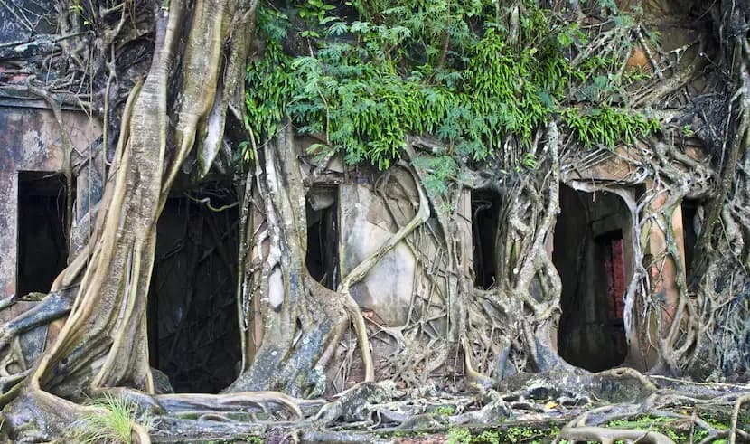 Andaman Island Tour — photo 6 Andaman Island Tour — photo 6