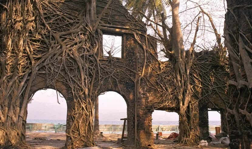 Andaman Island Tour — photo 2 Andaman Island Tour — photo 2