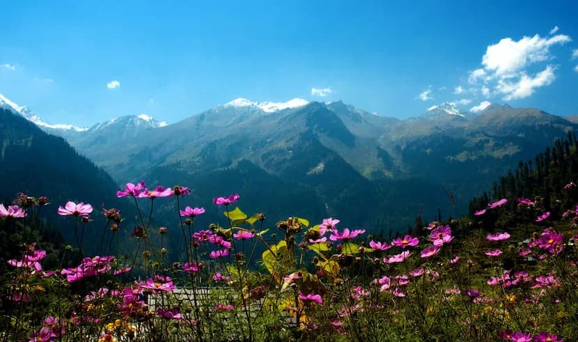 Himachal Adventure — photo 3 Himachal Adventure — photo 3