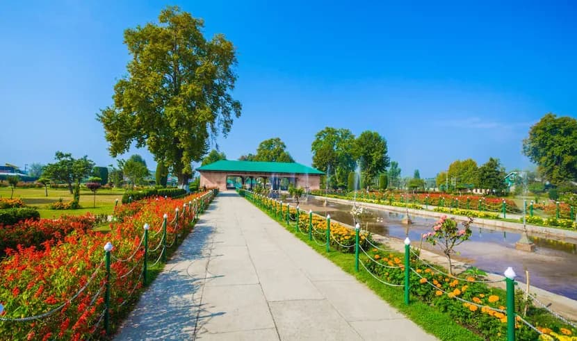 Kashmir Paradise 4 Kashmir Paradise 4