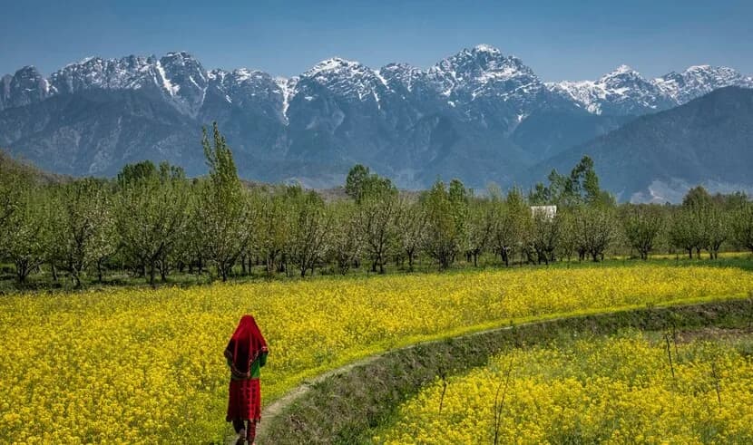 Kashmir Paradise 6 Kashmir Paradise 6