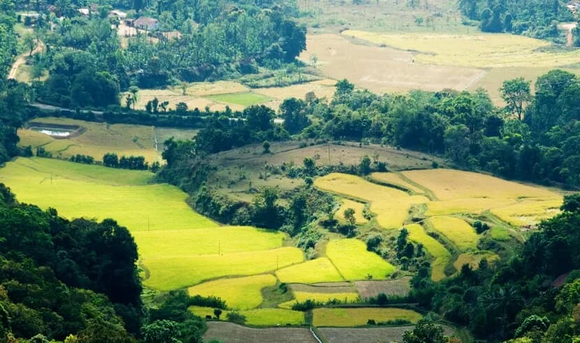 Ooty Mysore Tour 3 Ooty Mysore Tour 3